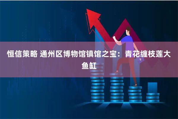 恒信策略 通州区博物馆镇馆之宝：青花缠枝莲大鱼缸