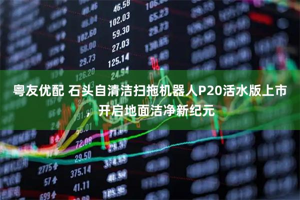 粤友优配 石头自清洁扫拖机器人P20活水版上市，开启地面洁净新纪元