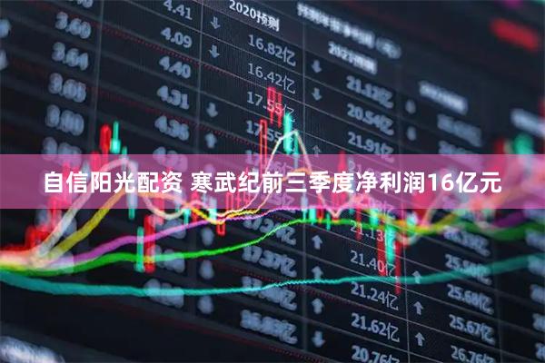 自信阳光配资 寒武纪前三季度净利润16亿元
